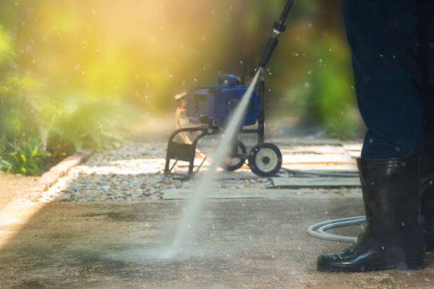 Best Roof Washing  in Danville, IA
